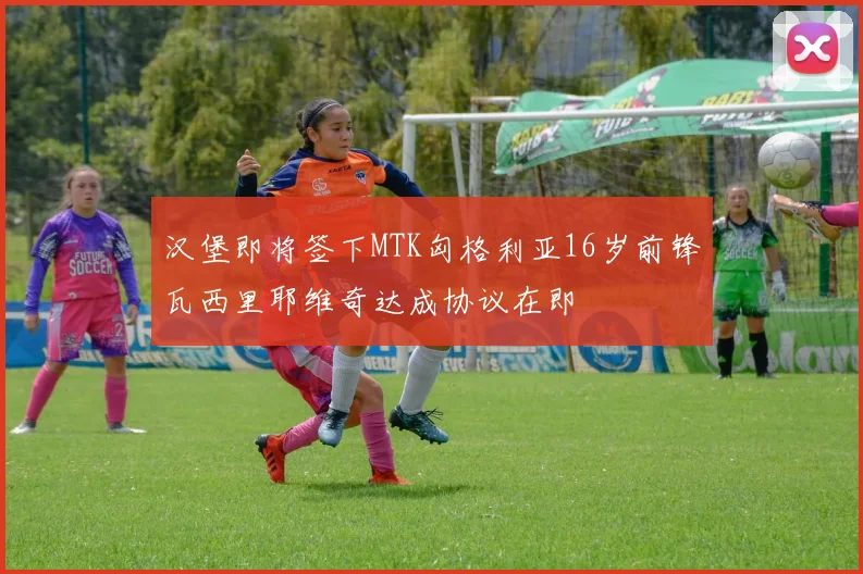 汉堡即将签下MTK匈格利亚16岁前锋瓦西里耶维奇达成协议在即